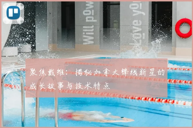 聚焦戴维:揭秘加拿大锋线新星的成长故事与技术特点